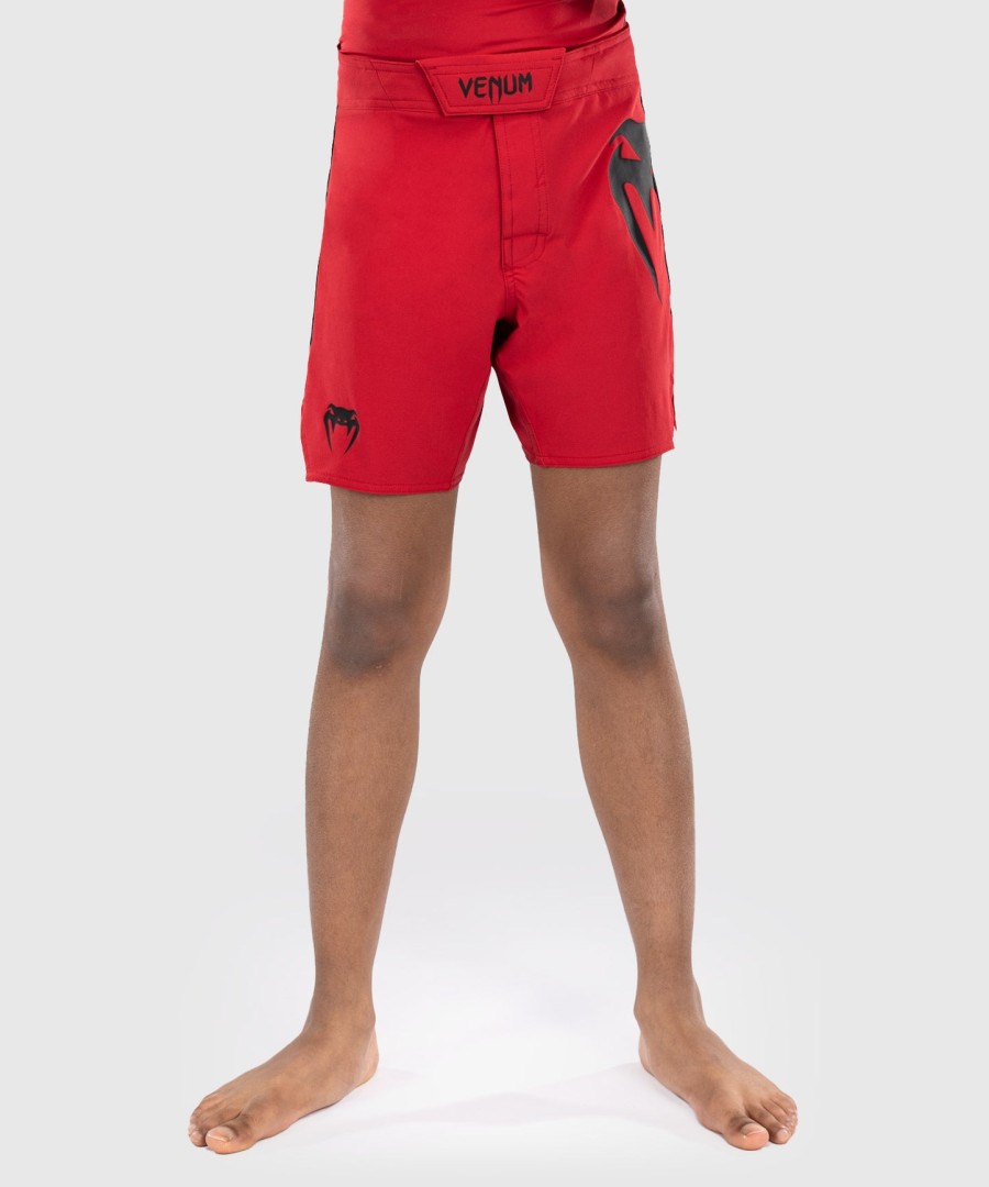 venum light kids fight shorts - kersenrood
